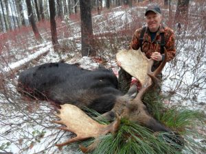 moose